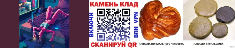 как найти   Горбатов  ГАШ VHQ 