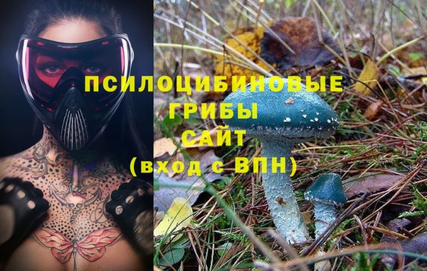 spice Балабаново